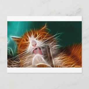 cat kitten kitties cute pet purr meow postcard