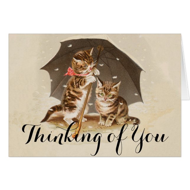 Cat Kitten kitty antique vintage pretty cute  (Front Horizontal)