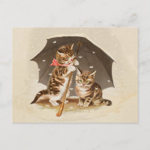 Cat Kitten kitty antique vintage pretty cute Postcard