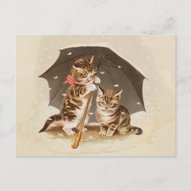 Cat Kitten kitty antique vintage pretty cute  Postcard (Front)