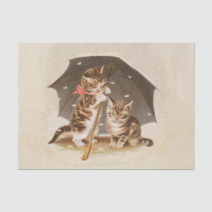 Cat Kitten kitty antique vintage pretty cute  Tissue Paper
