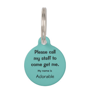 Cat, Kitten Lost tag, Teal Small .88" Pet Tag