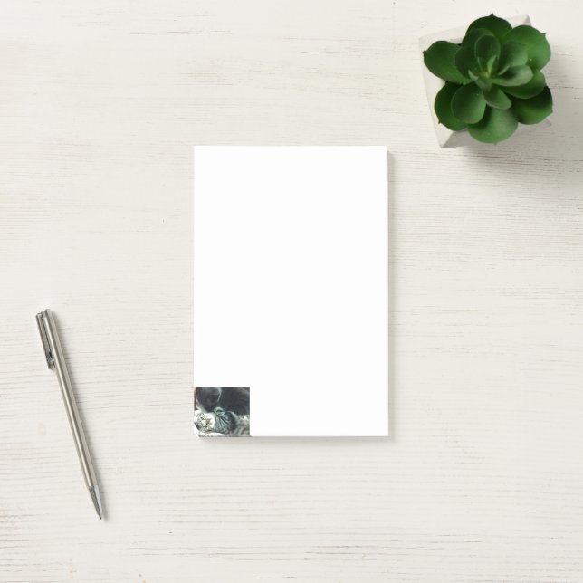 Cat Kitten Notes  (Office)