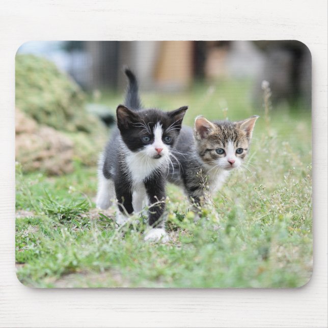 cat, kitten, pet mouse mat (Front)