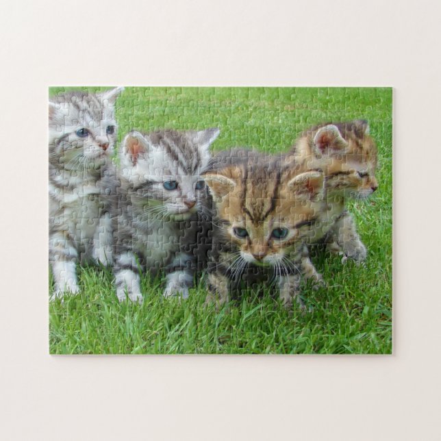 Cat Kitten Photography Animal Pic Cat Photographer Jigsaw Puzzle (Horizontal)