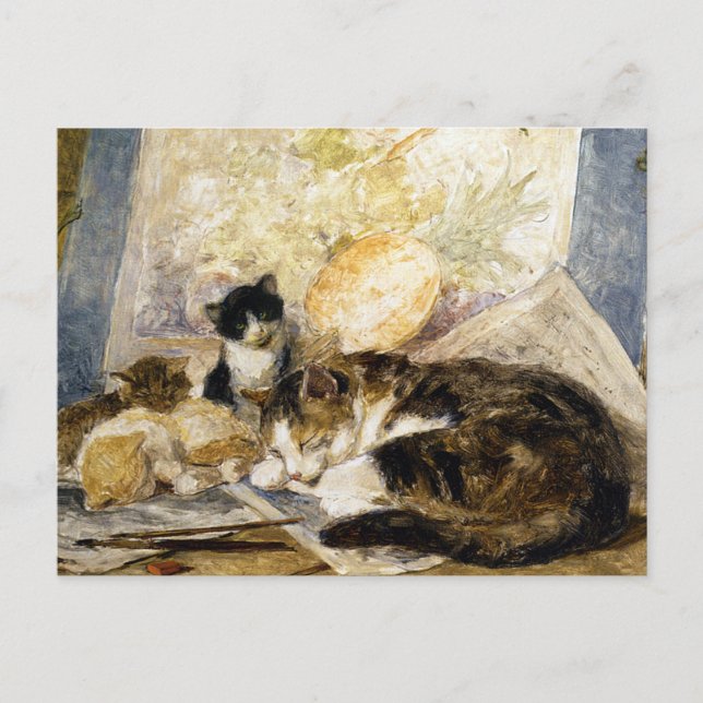 Cat & Kittens Asleep in the Artist's Studio Postcard (Front)