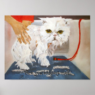 Cat Kitty Vet Pet Cat Bath Humor Funny Poster