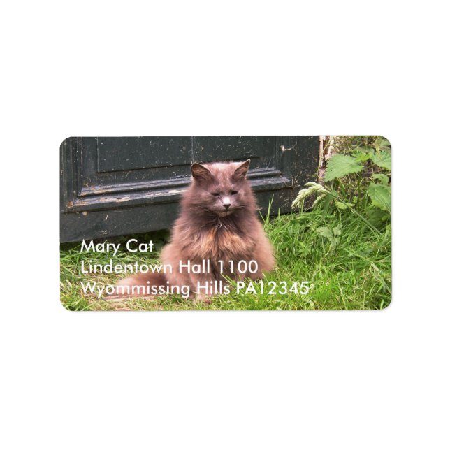 Cat 'Kyra' sitting in the grass Label (Front)