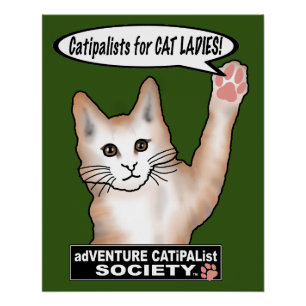 Cat Ladies Cat Poster