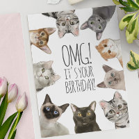 Cat Lady Birthday | OMG! It's Your Birthday Funny