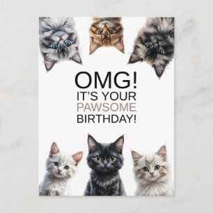 Cat Lady Birthday   OMG! It's Your Birthday Funny  Postcard