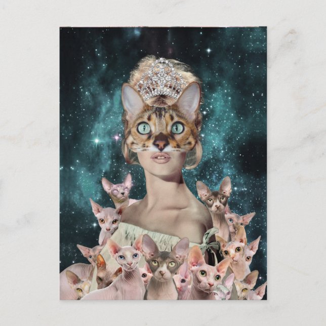 Cat Lady Postcard (Front)