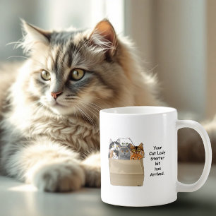 Cat Lady Starter Kit Coffee Mug