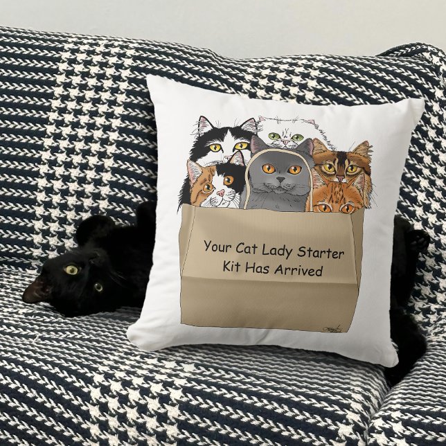 Cat Lady Starter Kit Cushion (Creator Uploaded)