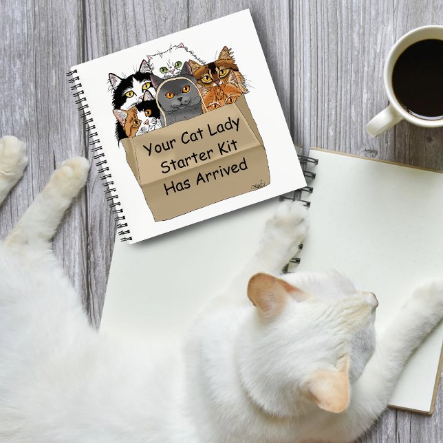 Cat Lady Starter Kit Notebook (Creator Uploaded)