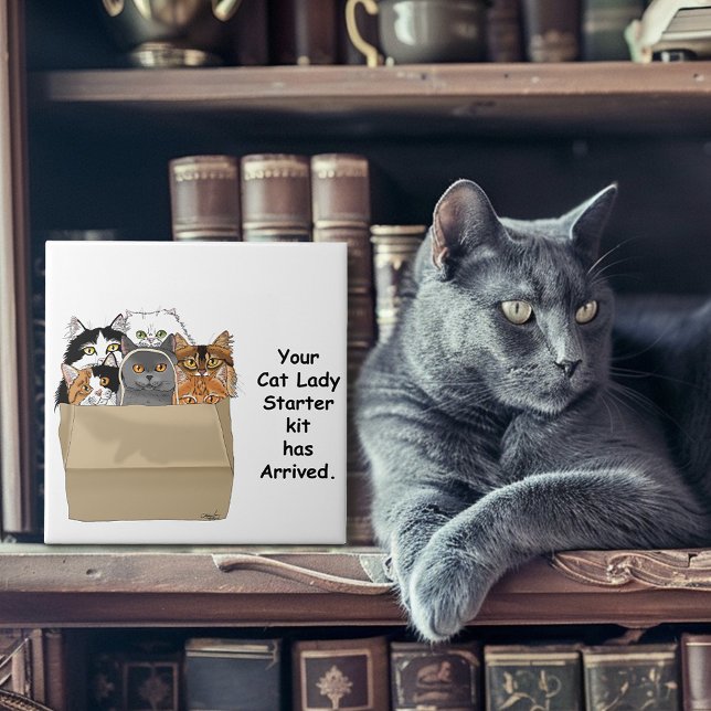 Cat Lady Starter Kit Tile (Creator Uploaded)