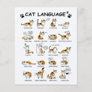 Cat Language, Funny Cat Kitten, Love Cat Gift Idea Flyer