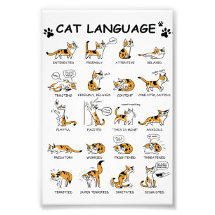 Cat Language, Funny Cat Kitten, Love Cat Gift Idea Photo Print