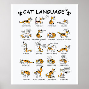 Cat Language, Funny Cat Kitten, Love Cat Gift Idea Poster