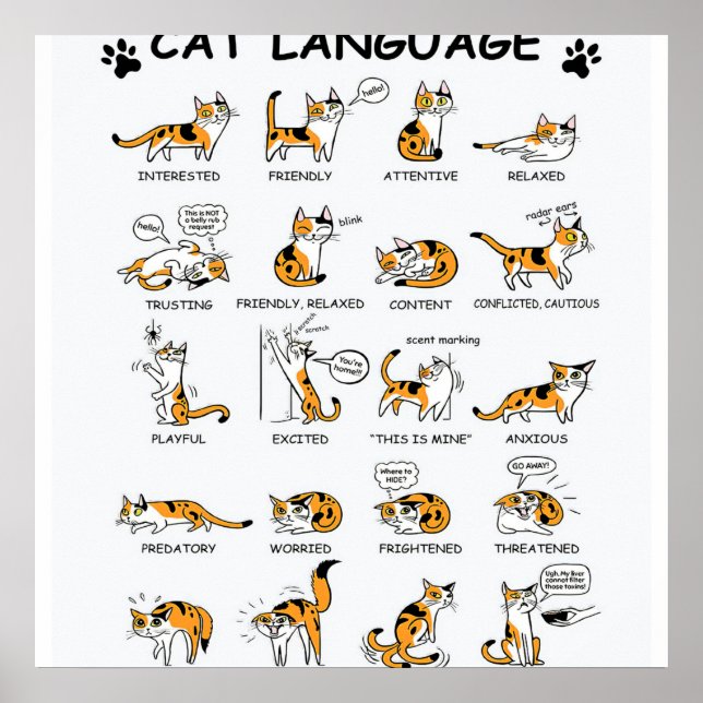 Cat Language, Funny Cat Kitten, Love Cat Gift Idea Poster (Front)