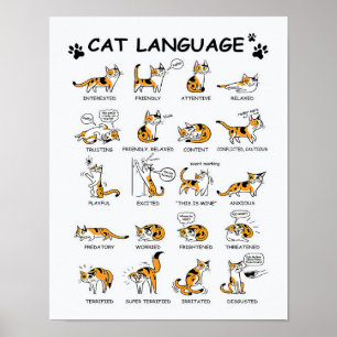 Cat Language, Funny Cat Kitten, Love Cat Gift Idea Poster