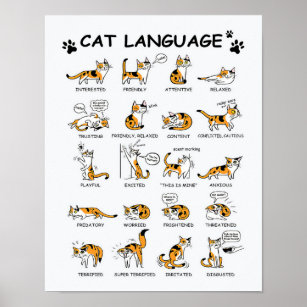 Cat Language, Funny Cat Kitten, Love Cat Gift Idea Poster