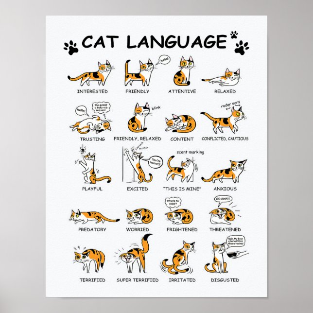 Cat Language, Funny Cat Kitten, Love Cat Gift Idea Poster (Front)