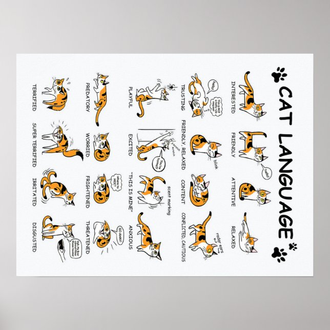 Cat Language, Funny Cat Kitten, Love Cat Gift Idea Poster (Front)