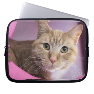 Cat Laptop Sleeve