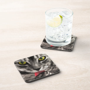 Cat Lick Coaster