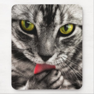 Cat Lick Mouse Mat