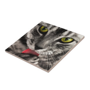 Cat Lick Tile
