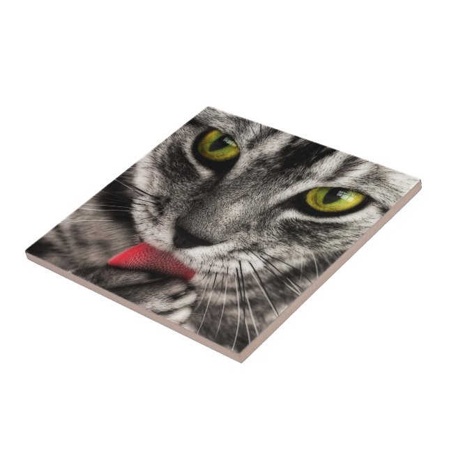Cat Lick Tile (Side)
