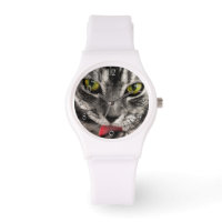 Cat Lick