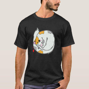 Cat Lies Curled Up With Hearts T-Shirt