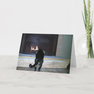 Cat looking at fireplace holiday card