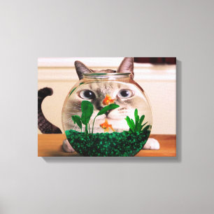 Cat looking at fish in aquarium canvas print