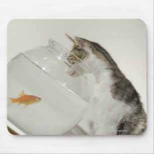 Cat looking at fish in fishbowl mouse mat