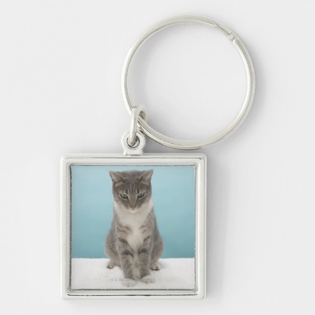 Cat looking at toy mouse on rug key ring (Front)