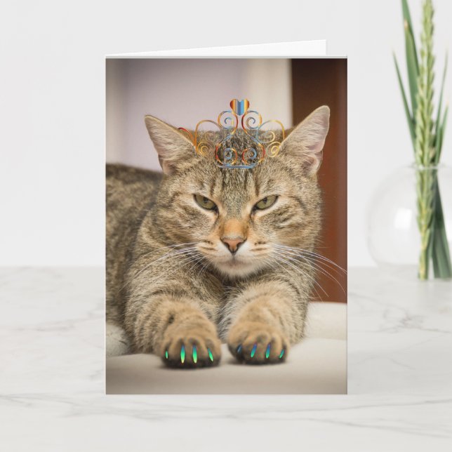 Cat Looking Good for Birthday Fun Animal Card (Front)
