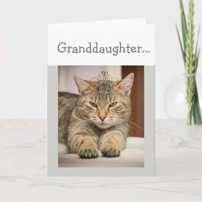 Cat Looking Good Granddaughter Birthday Fun Animal Card (Front)