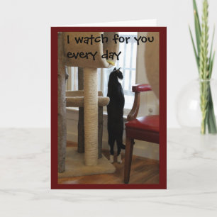 Cat Looking Out Window Card