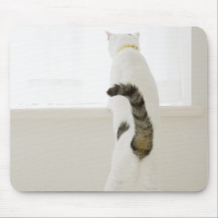 Cat looking out window, rear view mouse mat