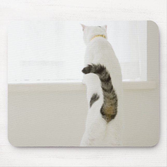 Cat looking out window, rear view mouse mat (Front)