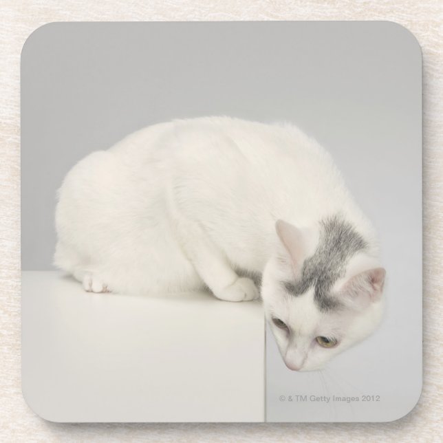 Cat looking over an edge coaster (Front)
