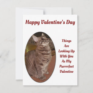 Cat Looking Up Digital Picture Valentine Quote Card