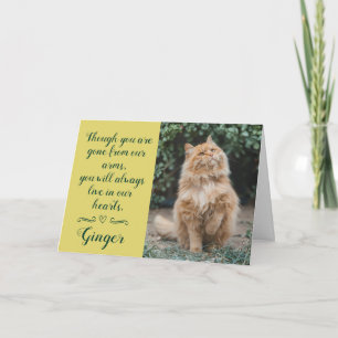 Cat Loss Sympathy Card Personalised Photo Pet Name