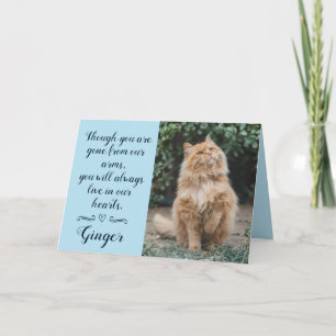 Cat Loss Sympathy Card Personalised Photo Pet Name