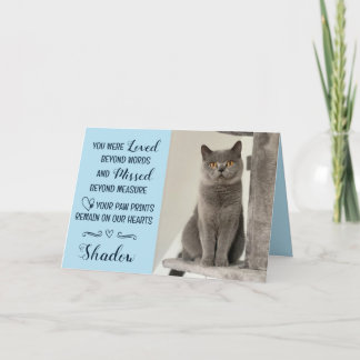 Cat Loss Sympathy Card Personalised Photo Pet Name