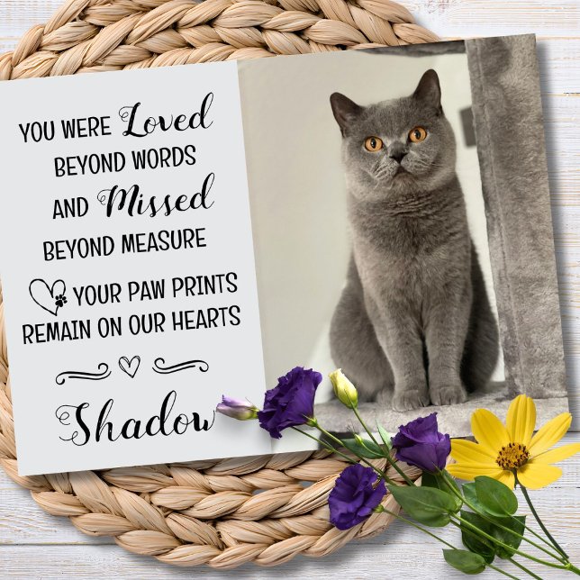 Cat Loss Sympathy Card Personalized Photo Pet Name (Cat Condolences Card )